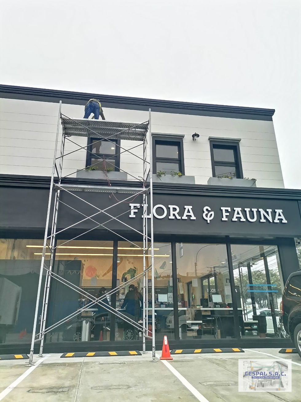 Cambio de cinta Led - Flora y Fauna