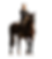 Website Bild Hero (4).png
