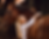 Website-Bild_PWS.png