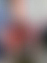 PRIED at the Society of Arts and Crafts in Boston, curated by Izzy Berdan and Dave J. Bermingham