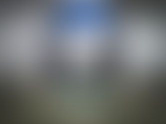 DIVERTED DESTRUCTION at the Ronald H. Silverman Art Gallery curated by Liz Gordon & Mika Cho