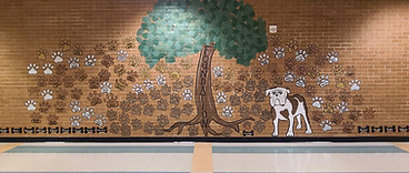 Tree_foundation.jpg