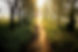 chemin 2.jpg