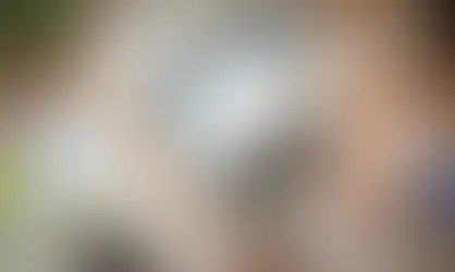 AUTOMATE E-FILING OF AIRWAY-BILL & ADVANCE MANIFEST INFORMATION