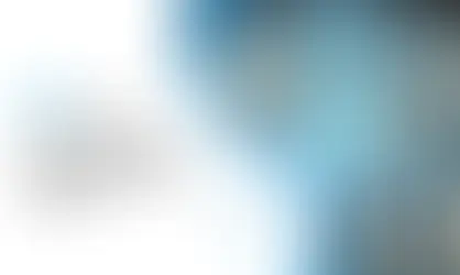 Customs in 2025: How Live IMPEX Prepares Your Business for Tomorrow's Challenges