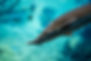 istockphoto-1205777366-612x612.jpg