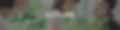 b_outline.png