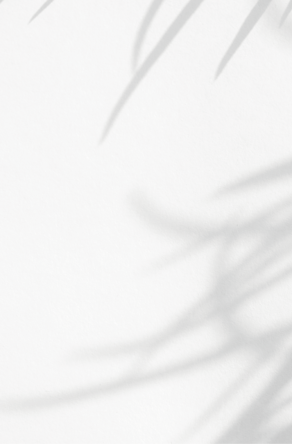 アセット 126.png