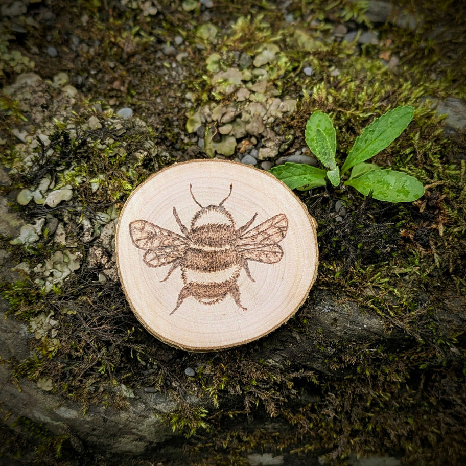 Our Citrine Nature Grounding Set, with Bee Woodburning Pyrography