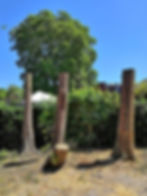 101188848_569236383996055_37764502867893