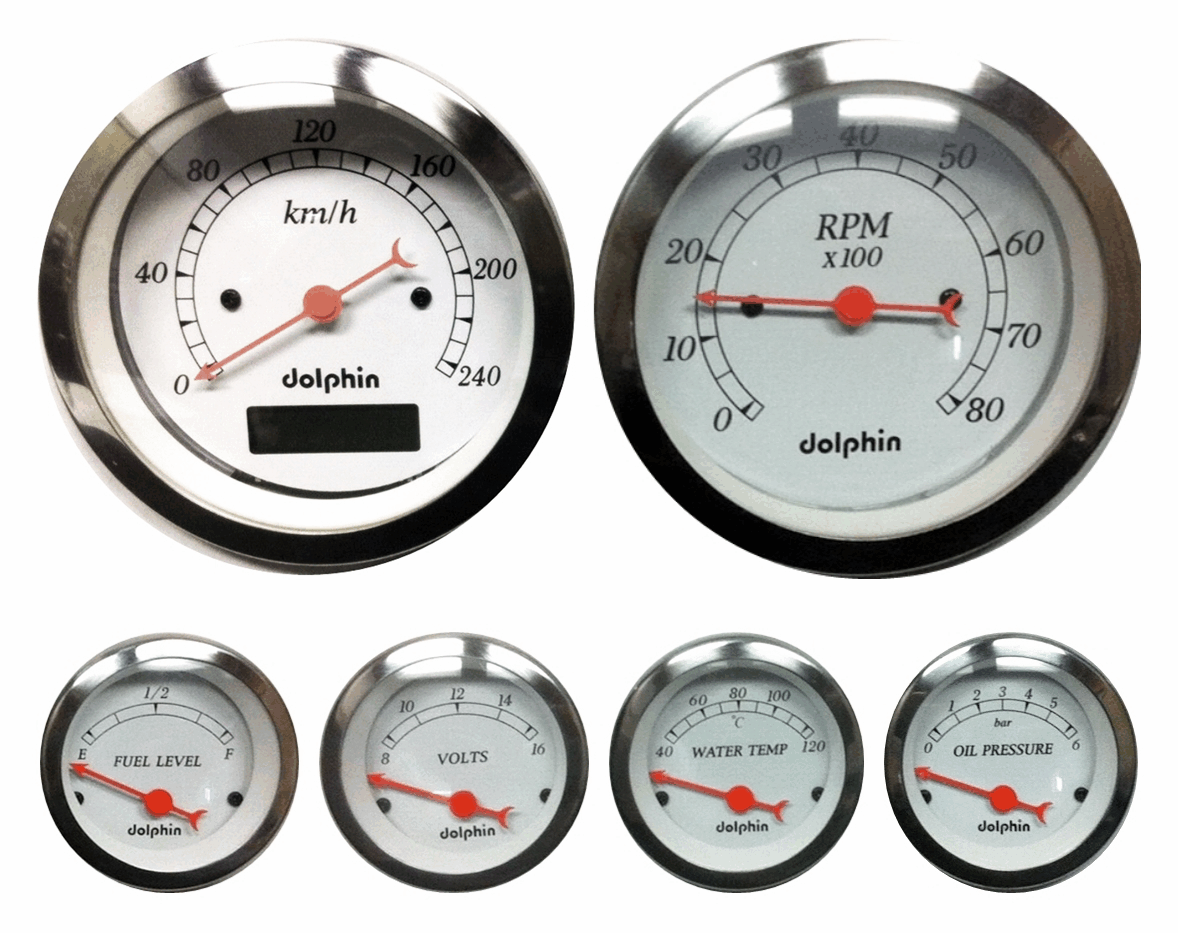 6 Gauge Metric w/Programmable Speedo
