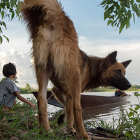 Dog and kids, Thailand, 2016