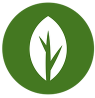 GREEN.png