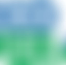 Ecover - Good or Bad?