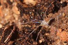 13 IMG_1599 GIMP_edited.jpg