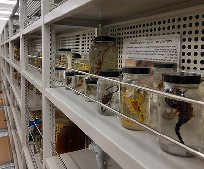 COLLECTION_20230109_163911.jpg