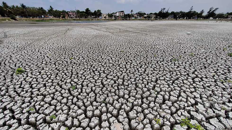 GREENPACE ALERTA POR "FRACKING" EN TAMAULIPAS, PODRÍA CAUSAR ESTRÉS HÍDRICO HASTA EXPOSICIÓN A QUÍMICOS CONTAMINANTES.