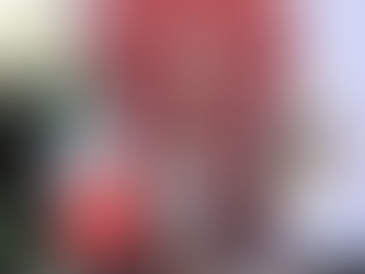 TAMAULIPAS INICIA 2026 CON ESTABILIDAD FINANCIERA: AMÉRICO VILLARREAL.