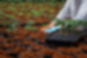 Grow_Max Jackson_0098.jpg