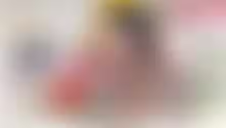 Should Politicians travel expenses be any different to a business owner?