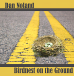 Birdnest on the Ground