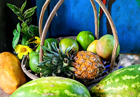 Fruit Basket Palenque