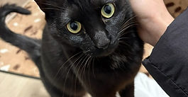 3回目のご利用ジジくん