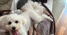 ソルくんとプラちゃん