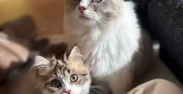 お久しぶりのみるくくん