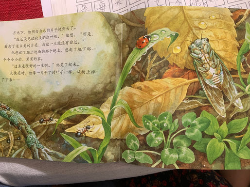 The Power of Reading – How a Reading Session With My (Trilingual) Son Gave Us A Moment of Shared Emotional Connection and Love