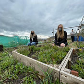 Climate Action Boost