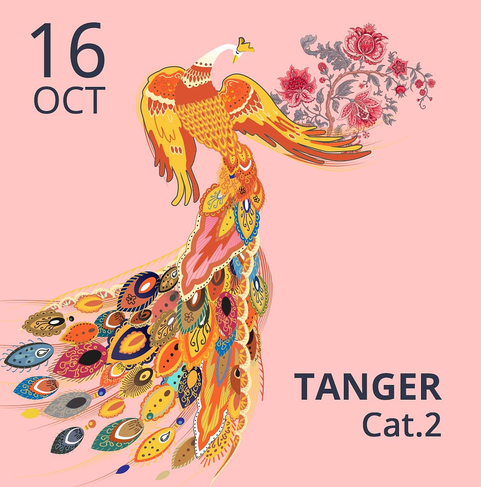 TABLEAUX D'UNE EXPOSITION - TANGER/CAT.2