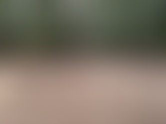 Shooting Range update October 11th