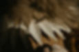 jacksonville-fl-photographer-wedding-detail-photography