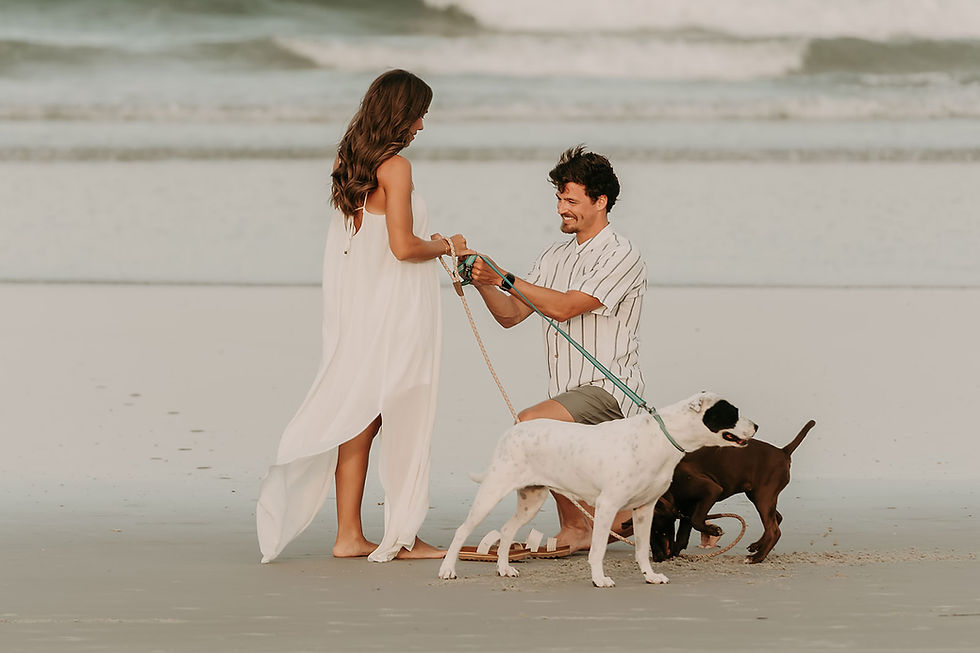 man proposing to woman on the beach with dogs