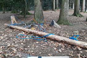 2020.01. 20200107_100622 (3).jpg