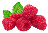 Himbeeren fruechtehandel.ch
