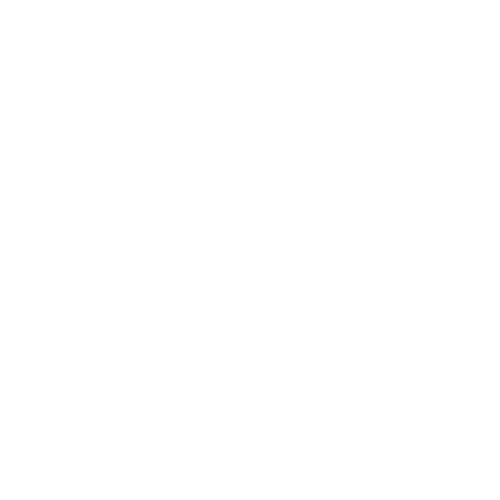 Transparent Logo - white.png