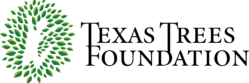 cropped-TexasTreesFoundation_logo_color-249x83.webp
