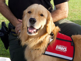 Golden PAWS and Naples Police Bring Comfort to Children in Court