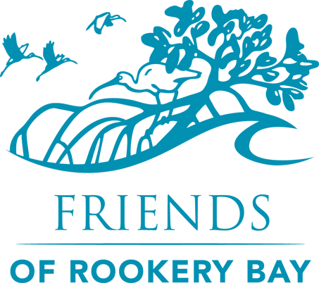 Writer: Rookery Bay