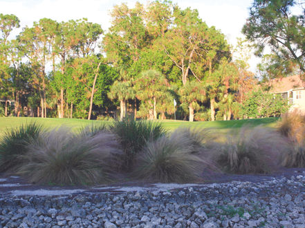 Enjoy golf for a day or be a member for a lifetime