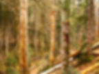 BIODIVERSIDAD