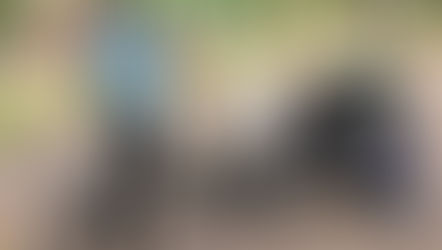 【moimoilokki】自転車トレーラー体験をしました🚴♂️✨