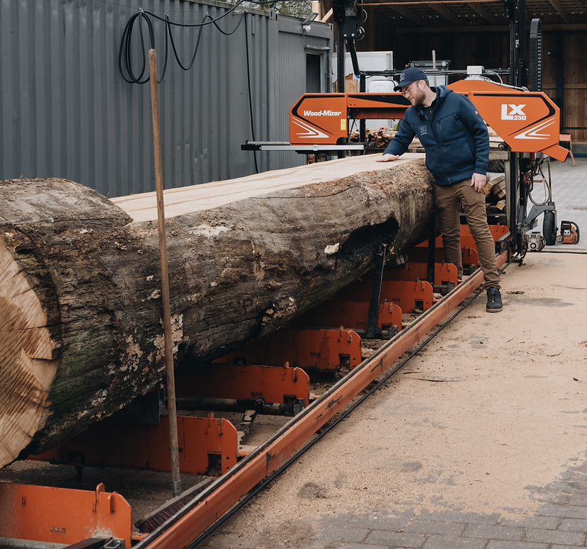 Sägewerk, massivholz, eiche, more than wood, jan narten