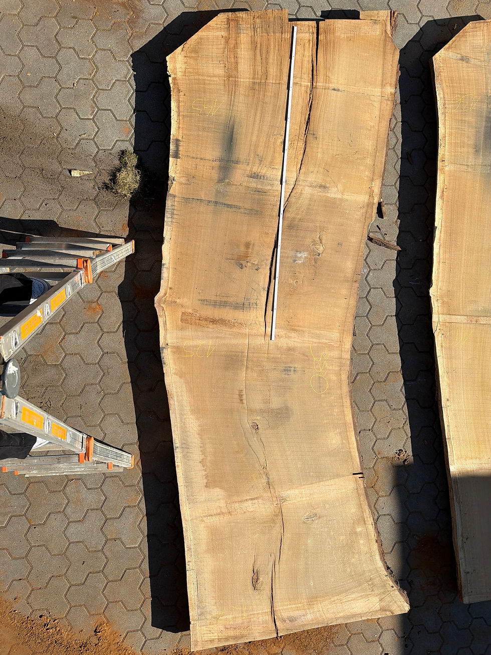 Miniaturbild: Eiche-Bohle 260804_B05