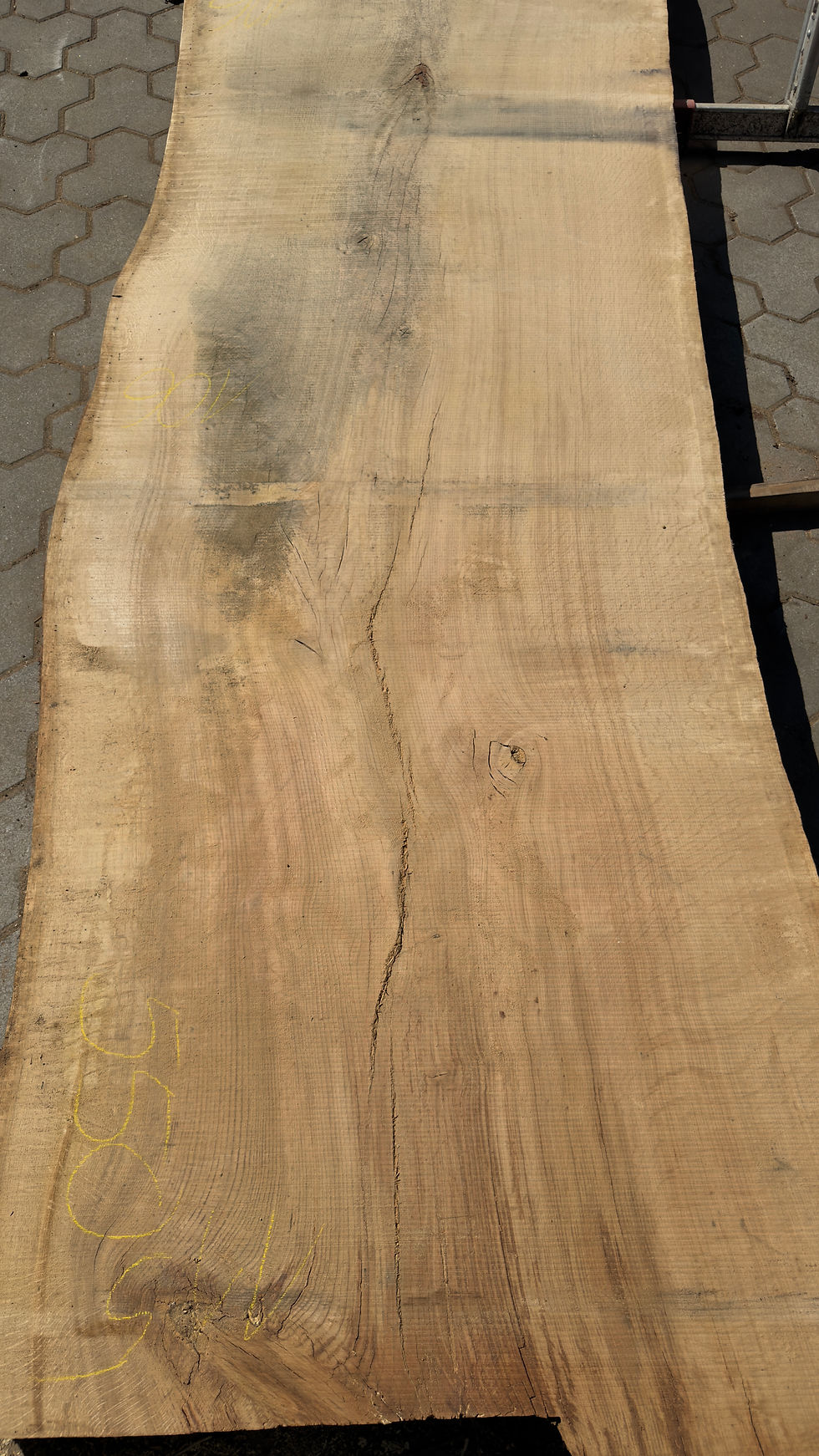Miniaturbild: 260429_B05_Riepe
