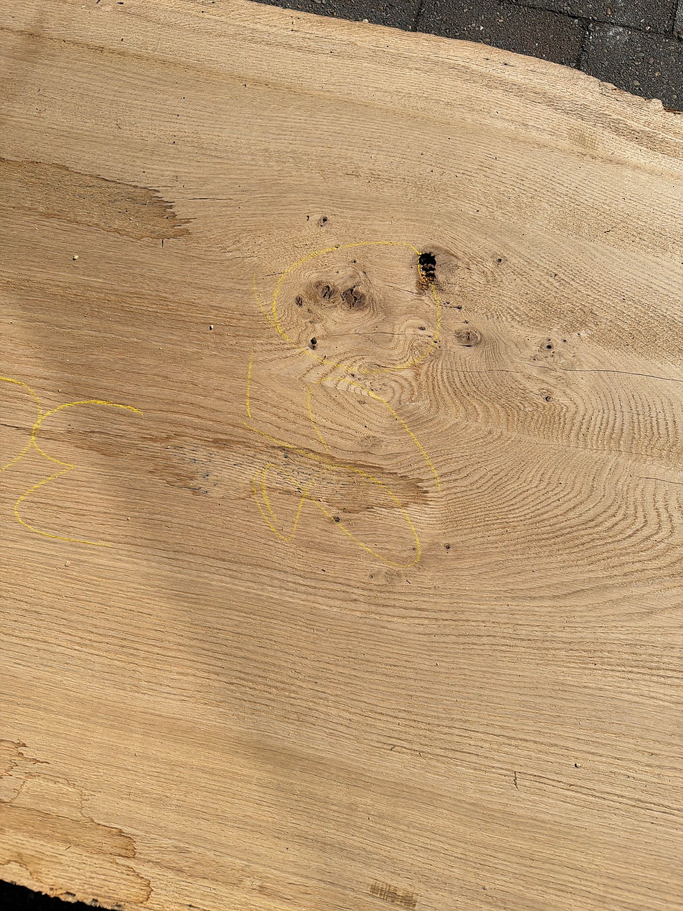 Miniaturbild: Eiche-Bohle 260704_B05