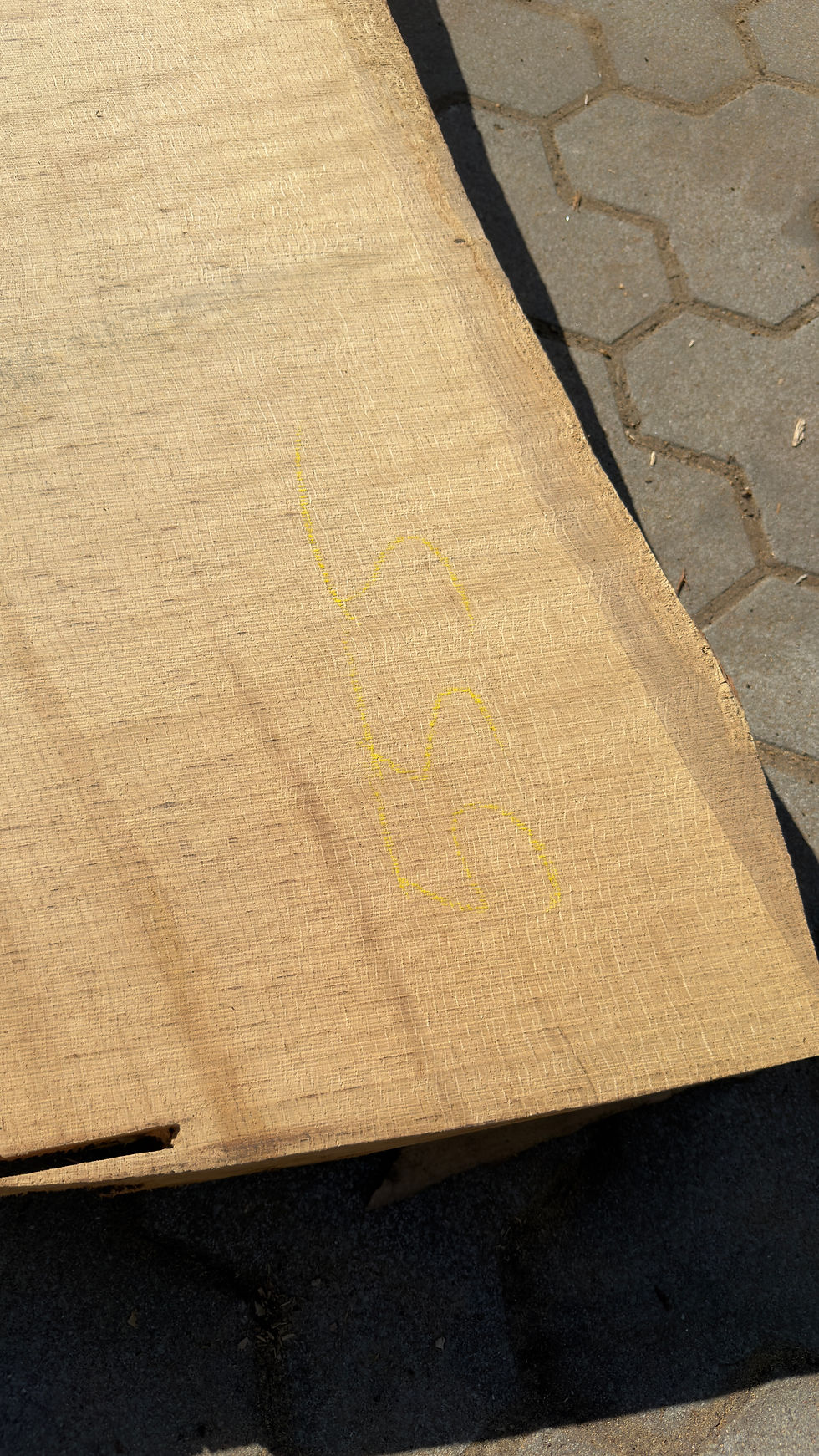 Miniaturbild: 260429_B08_Riepe
