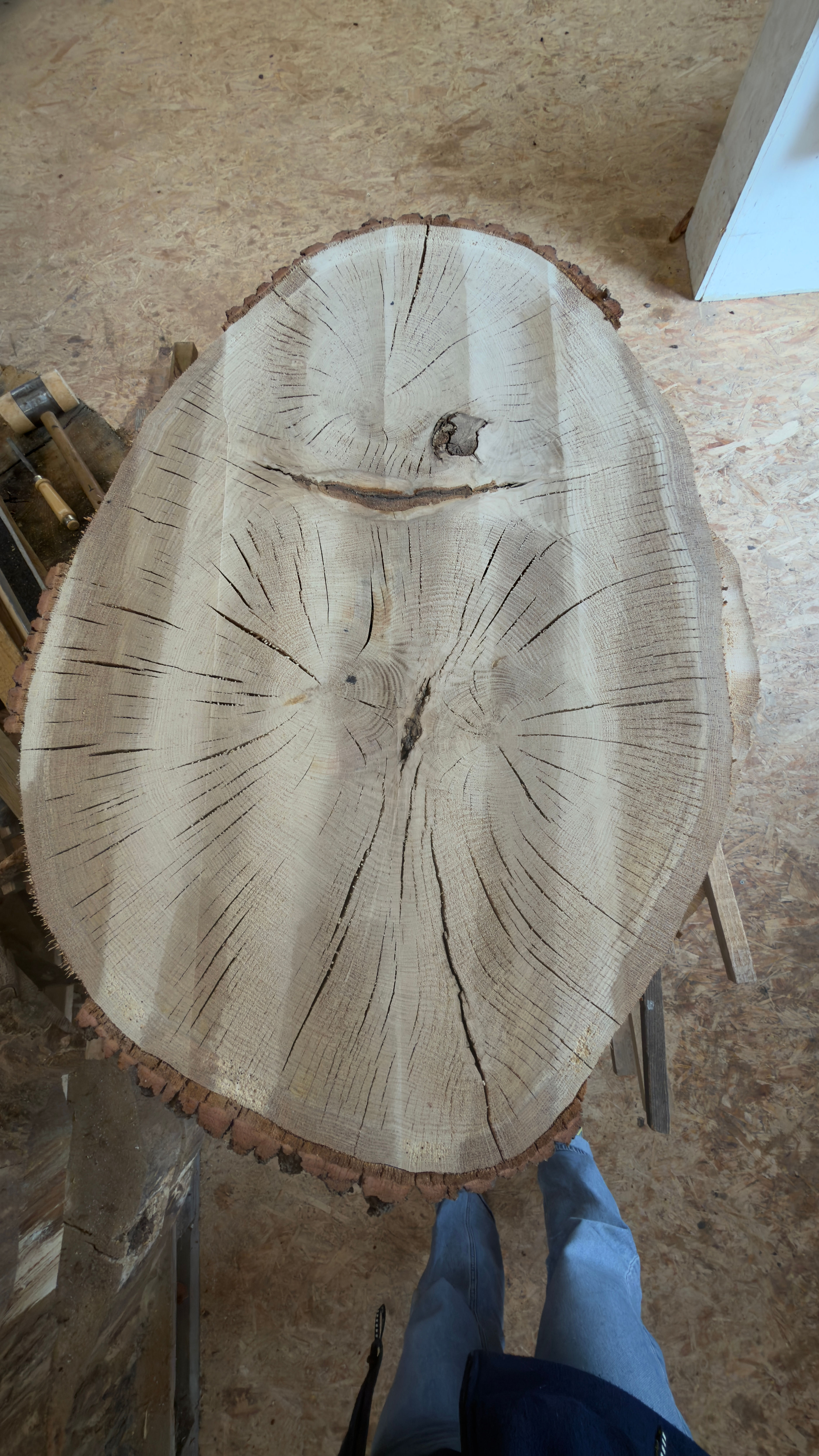 Eiche Baumscheibe ø 110cm Expo Holz